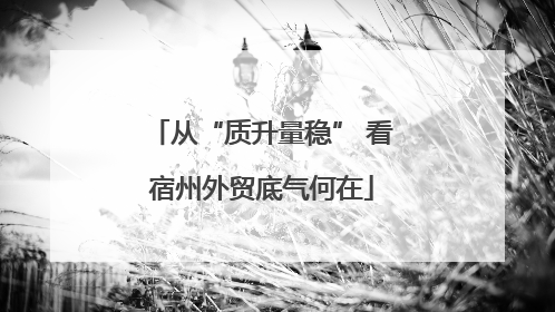 从“质升量稳” 看宿州外贸底气何在